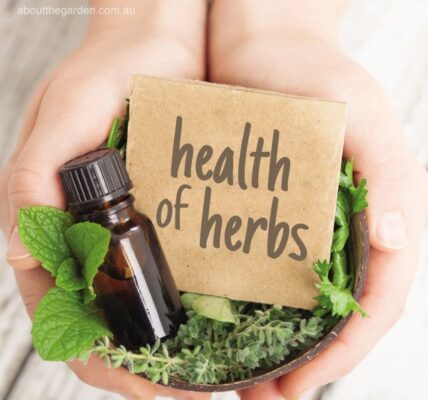 Health of herbs #aboutthegardenmagazine.indd