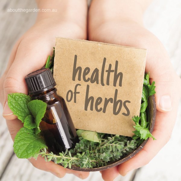 Health of herbs #aboutthegardenmagazine.indd
